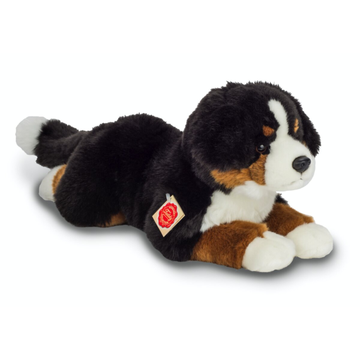 hermann-teddy-91940-berner-sennenhund-F84A11741.jpg