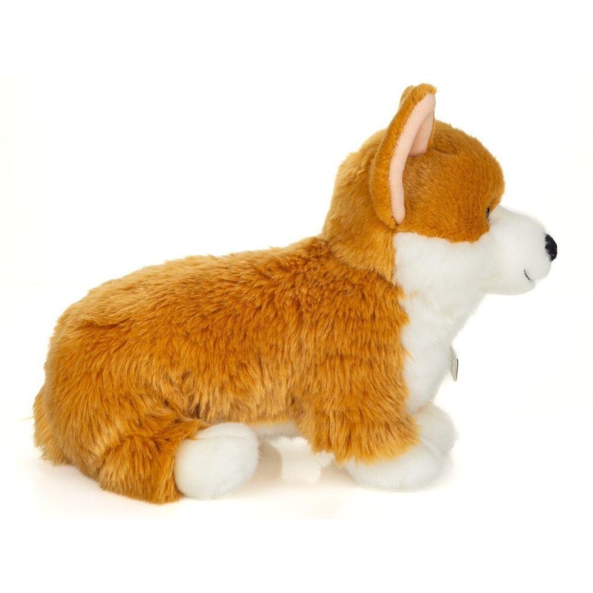 hermann-teddy-91990-corgi-30-1AE5C6913.jpg
