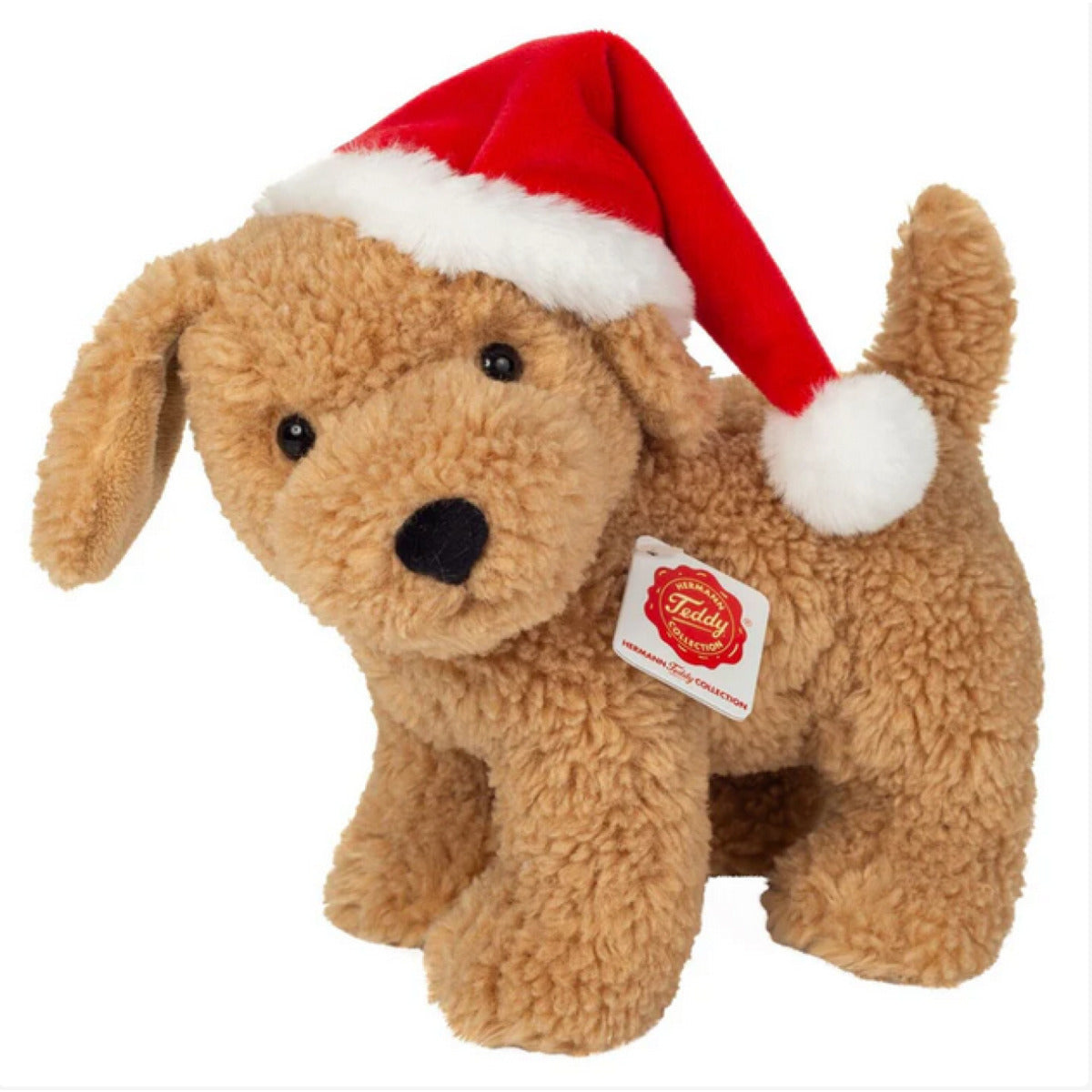 hermann-teddy-94614-hund-mit-1D5C98731.jpg