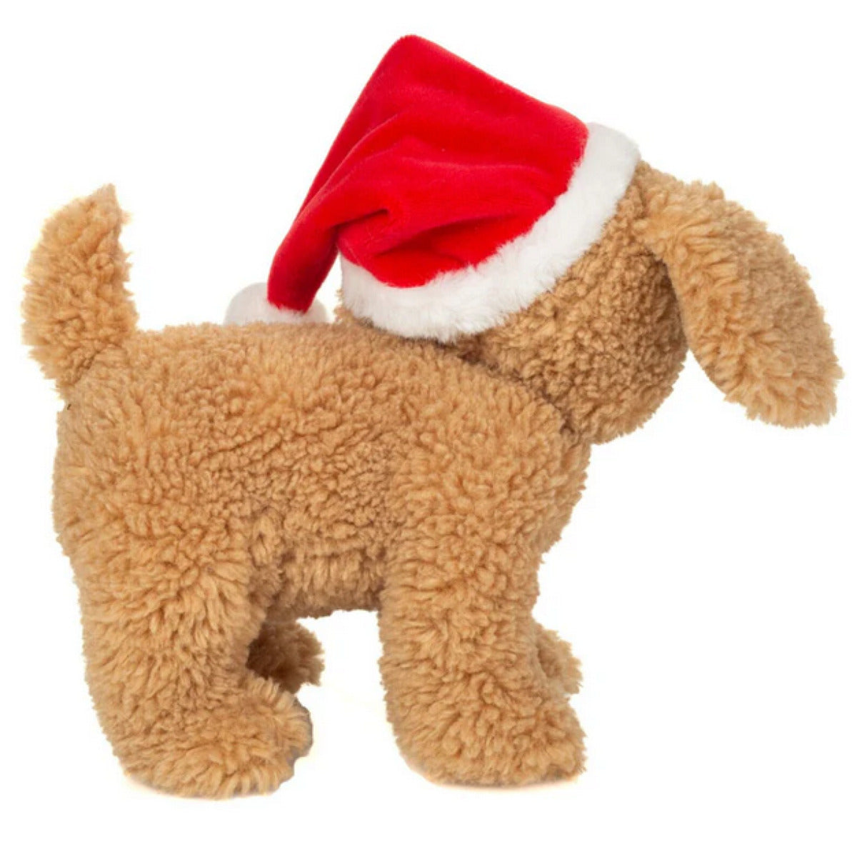 hermann-teddy-94614-hund-mit-1D5C98732.jpg