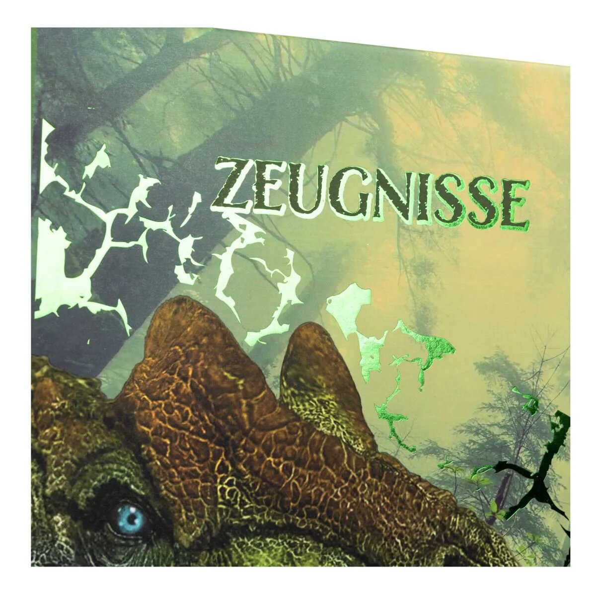 idena-zeugnismappe-a4-186750B16.jpg