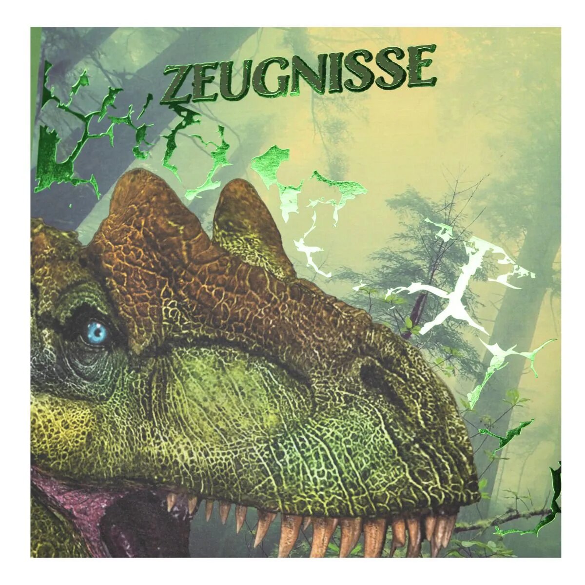 idena-zeugnismappe-a4-186750B17.jpg