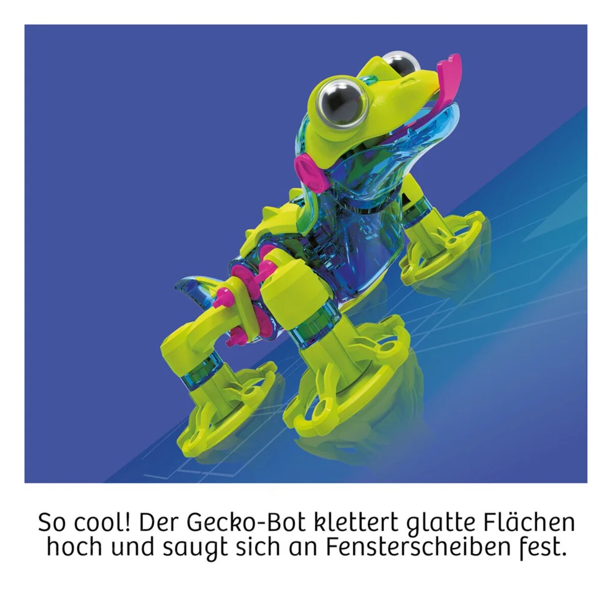 kosmos-621452-gecko-bot-4107E91E3.jpg