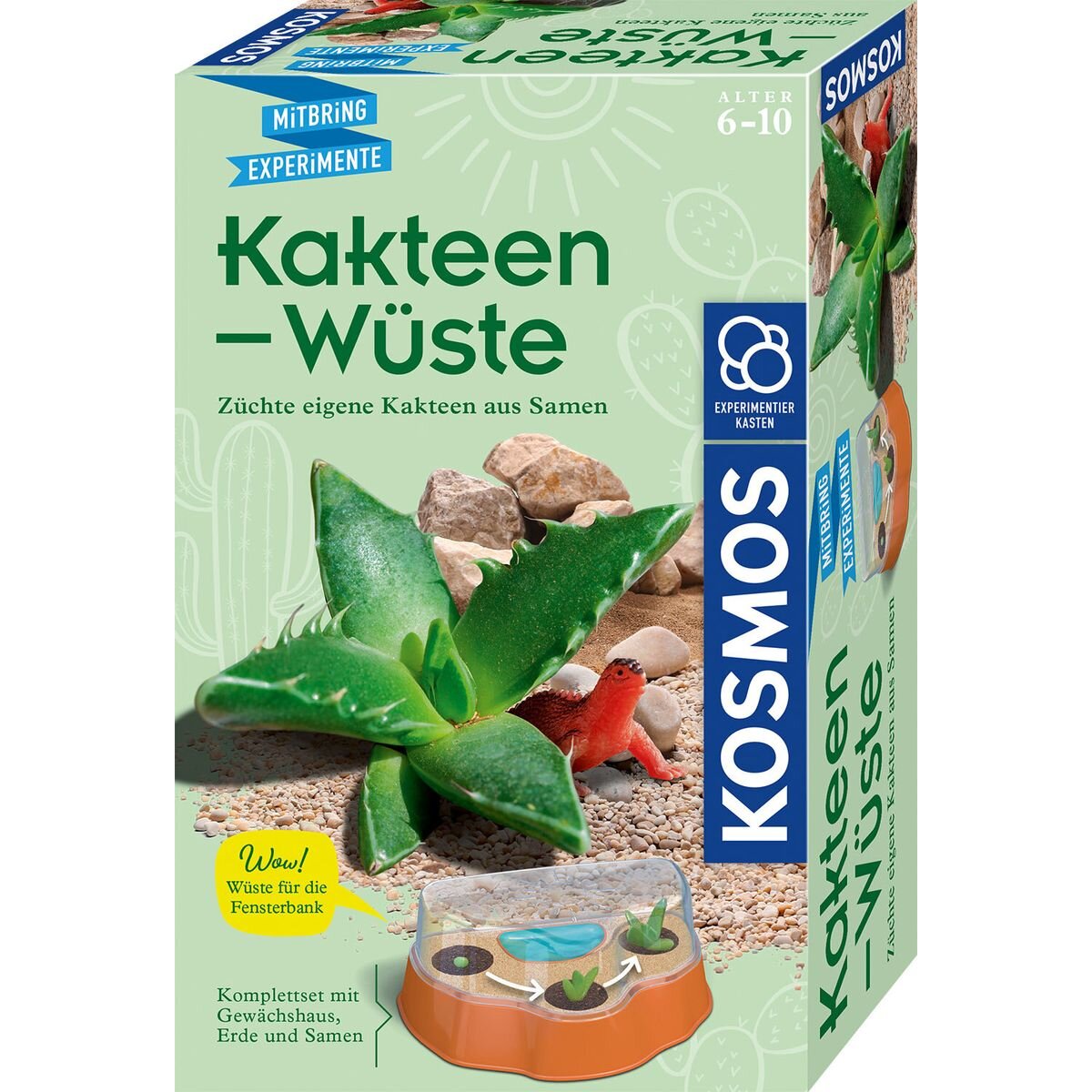 kosmos-kakteen-wueste-61039CCF1.jpg