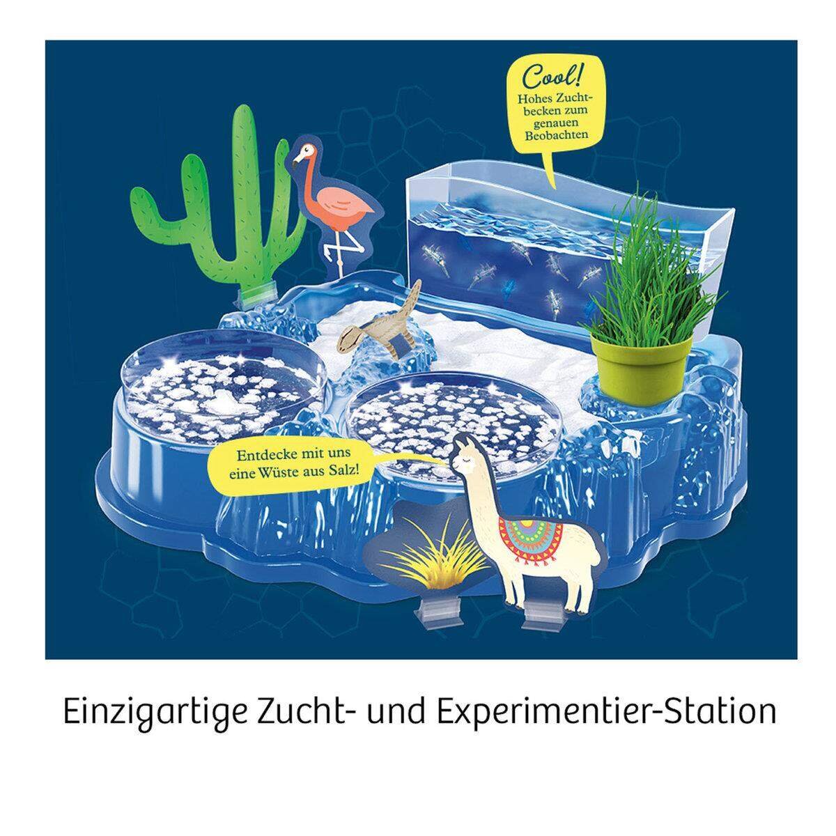 kosmos-salzkrebse-ueberlebenskuenstler-in-der-D718665E2.jpg