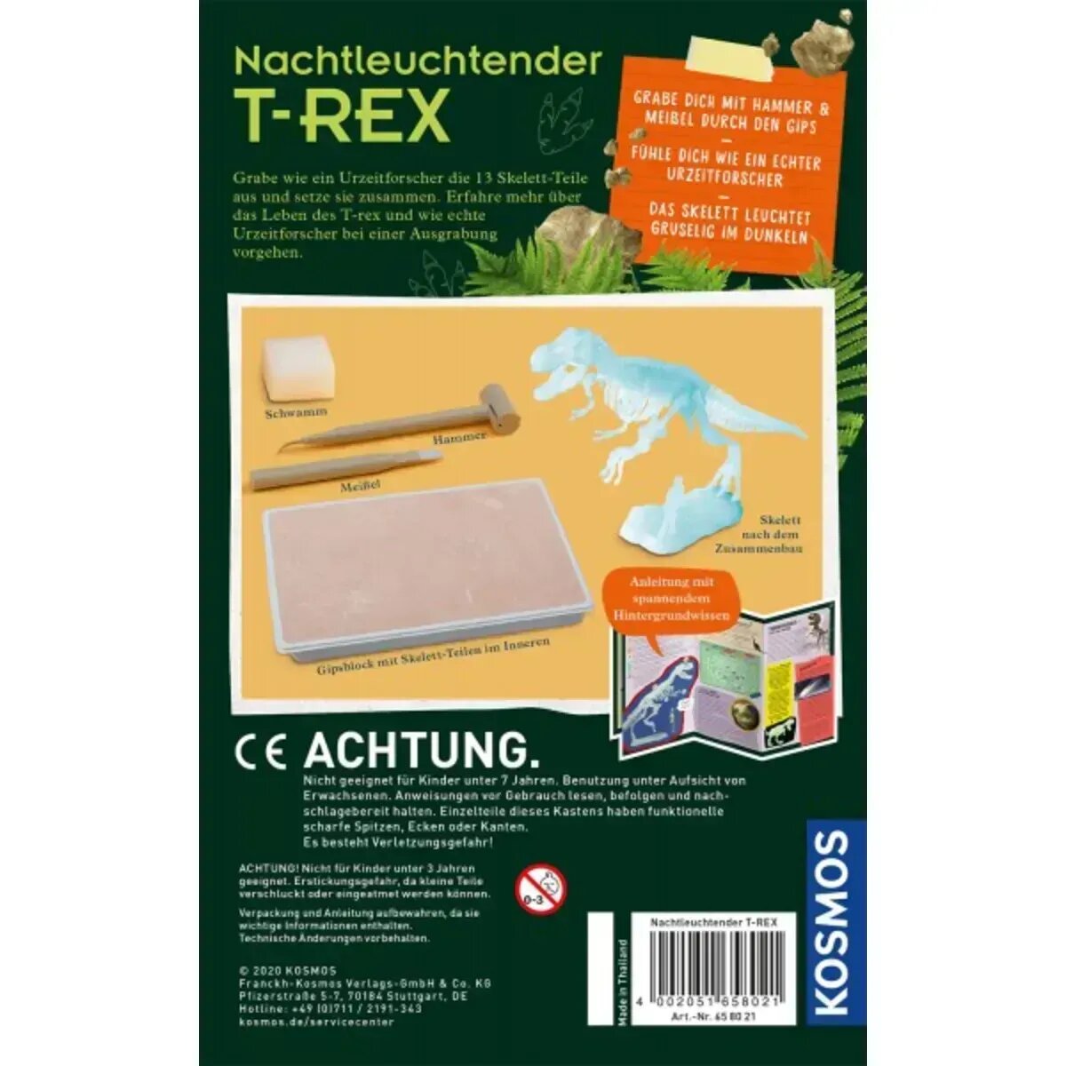 kosmos-t-rex-nachtleuchtend-ausgrabungs-7EB3F1D42.jpg