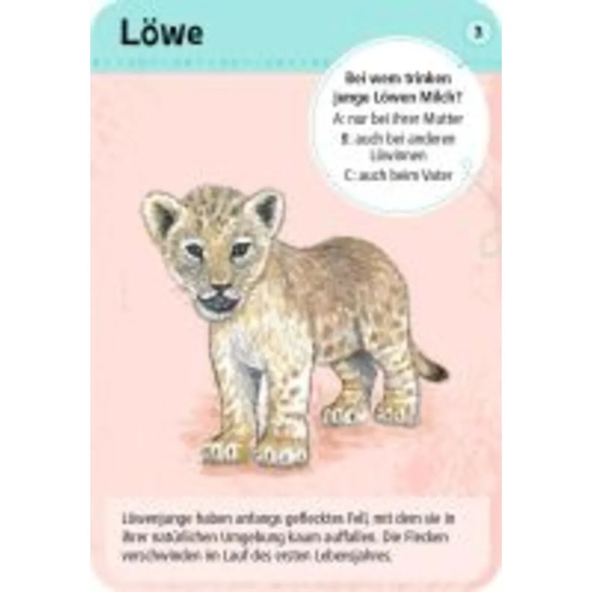 moses. Expedition Natur - 50 Tierkinder