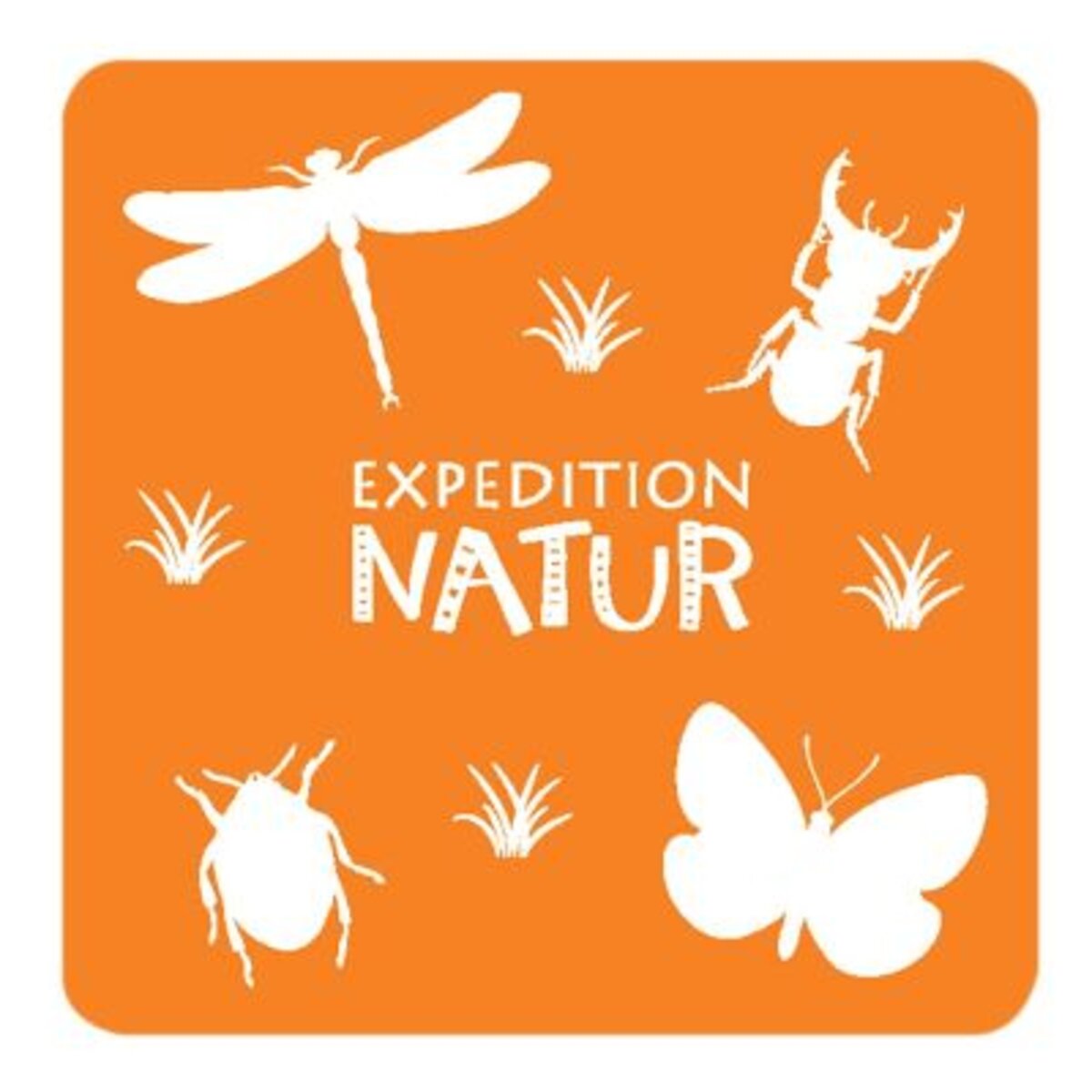 moses-expedition-natur-das-grosse-B27D8A7C4.jpg