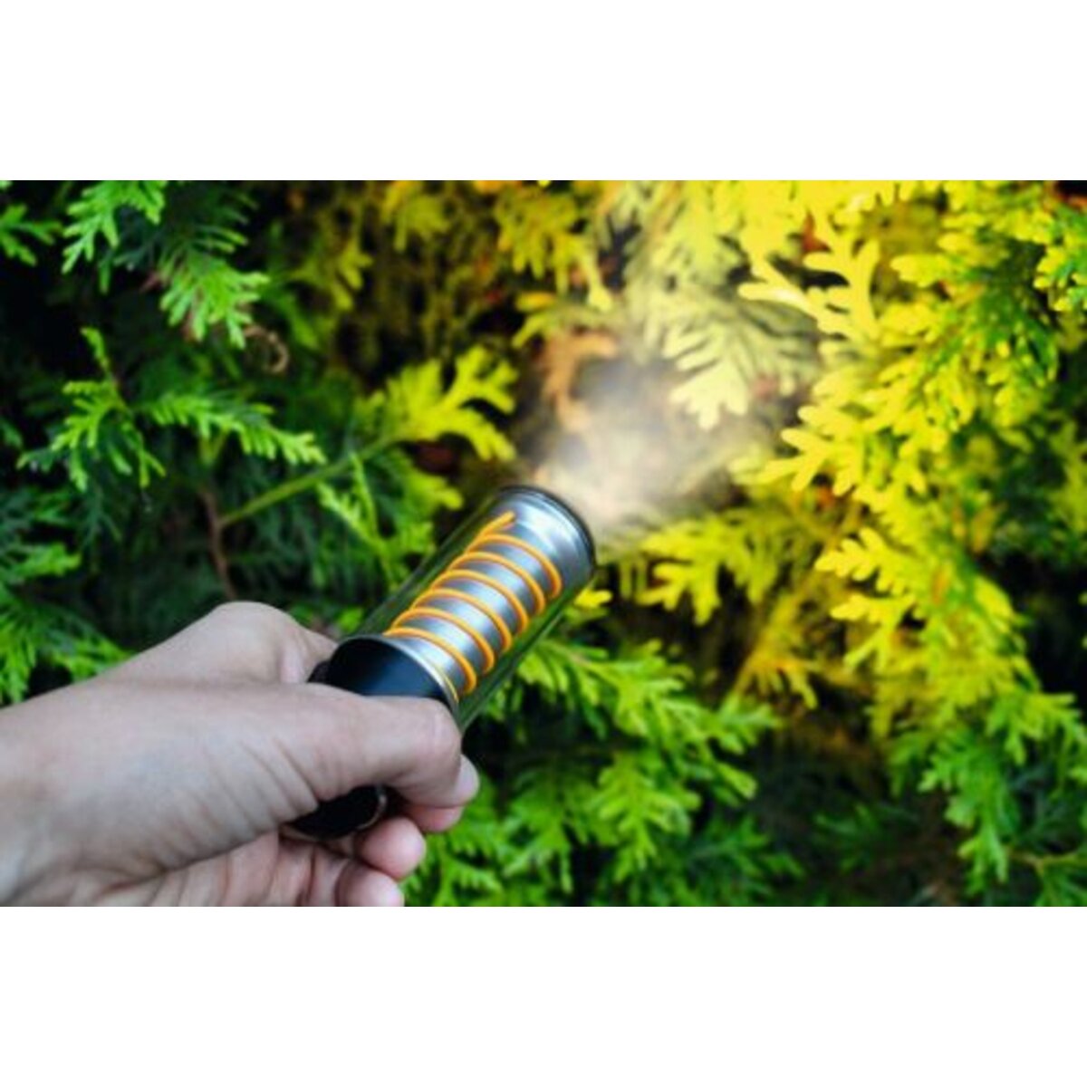 moses. Expedition Natur Outdoor Allroundlicht