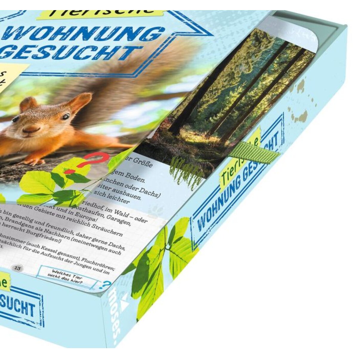 moses-tierische-wohnung-gesucht--EB50292B2.jpg