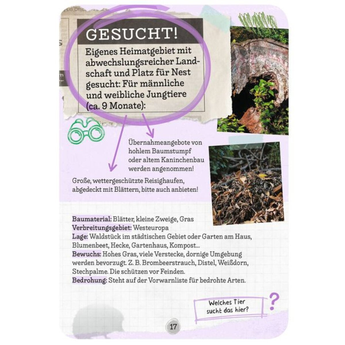 moses-tierische-wohnung-gesucht--EB50292B5.jpg