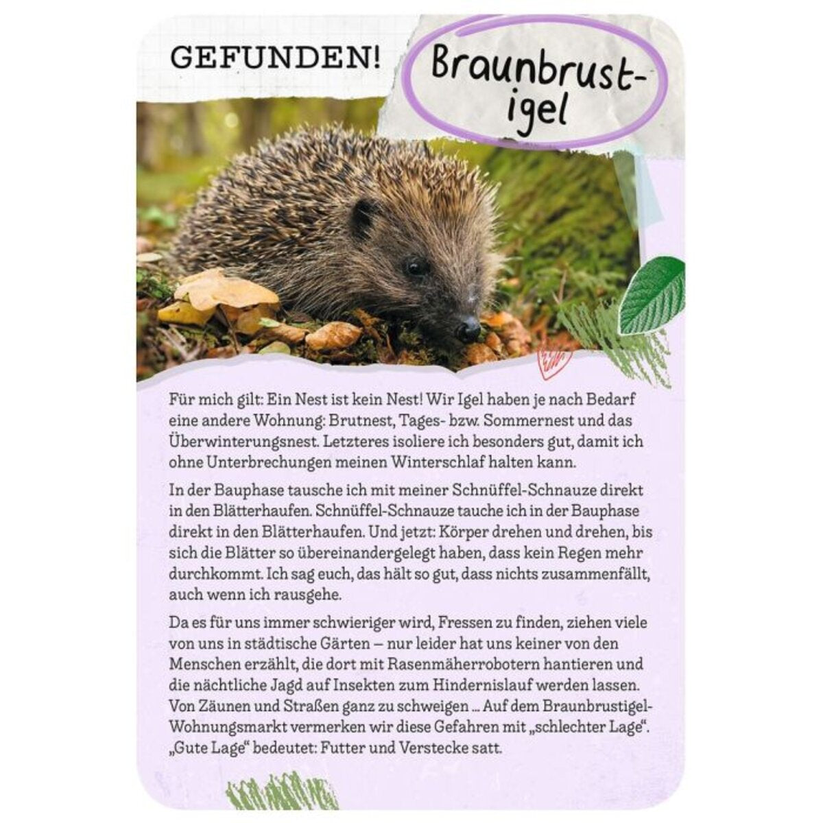 moses-tierische-wohnung-gesucht--EB50292B6.jpg