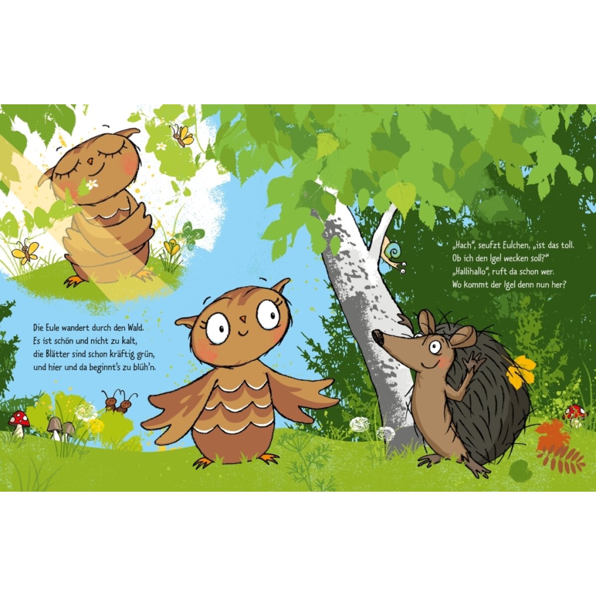 oetinger-die-kleine-eule-und-8203EF1C4.jpg