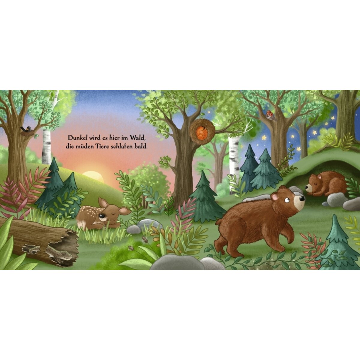 Oetinger Es wird Nacht hier im Wald