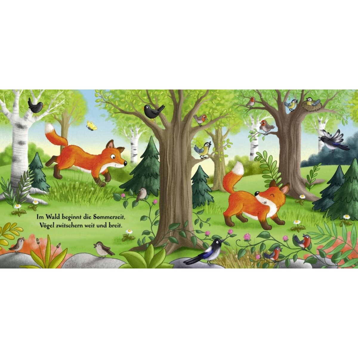 Oetinger Es wird Sommer hier im Wald