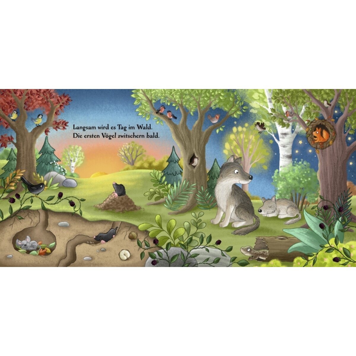 Oetinger Es wird Tag hier im Wald