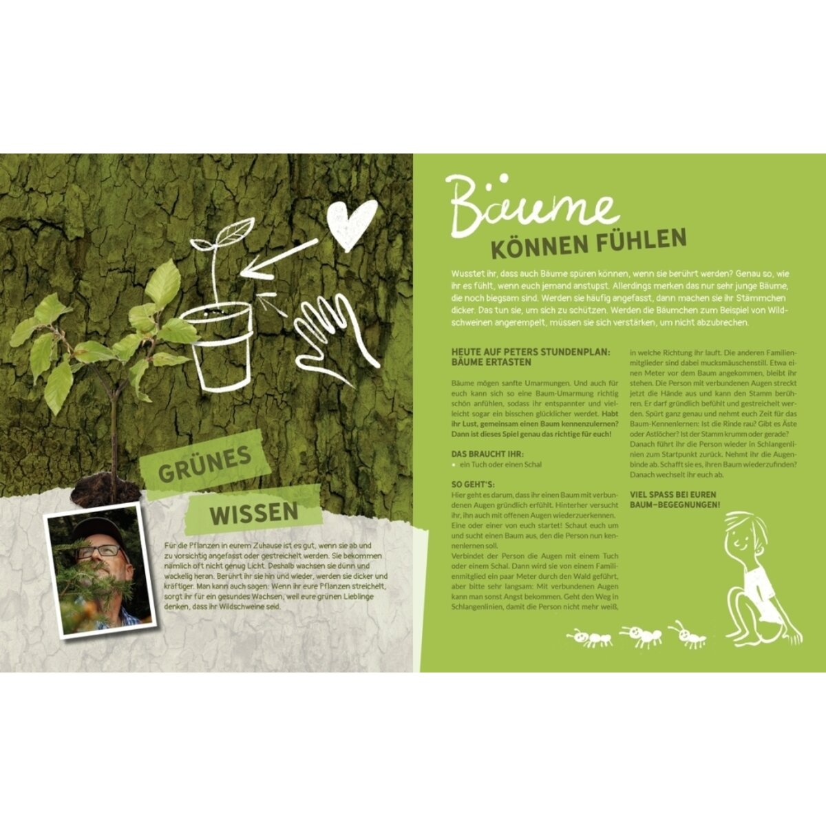 Oetinger Peter Wohllebens Schule des Waldes