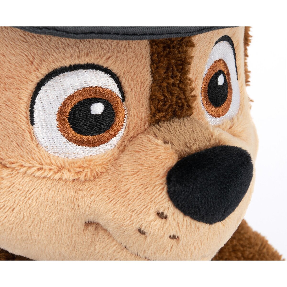 paw-patrol-gnd---68657E0D4.jpg