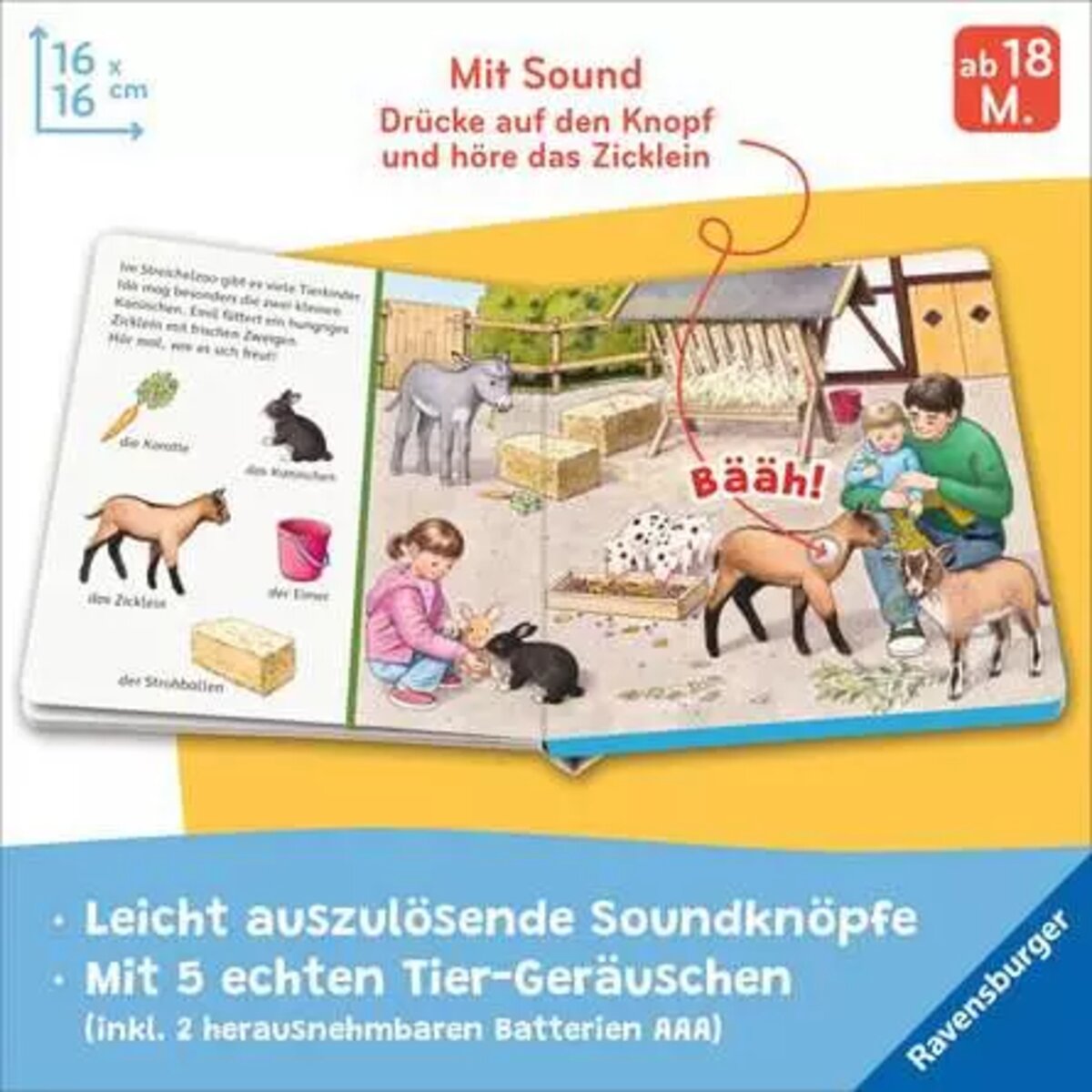 ravensburger-42206-sachen-suchen-sachen-9085D39C3.jpg