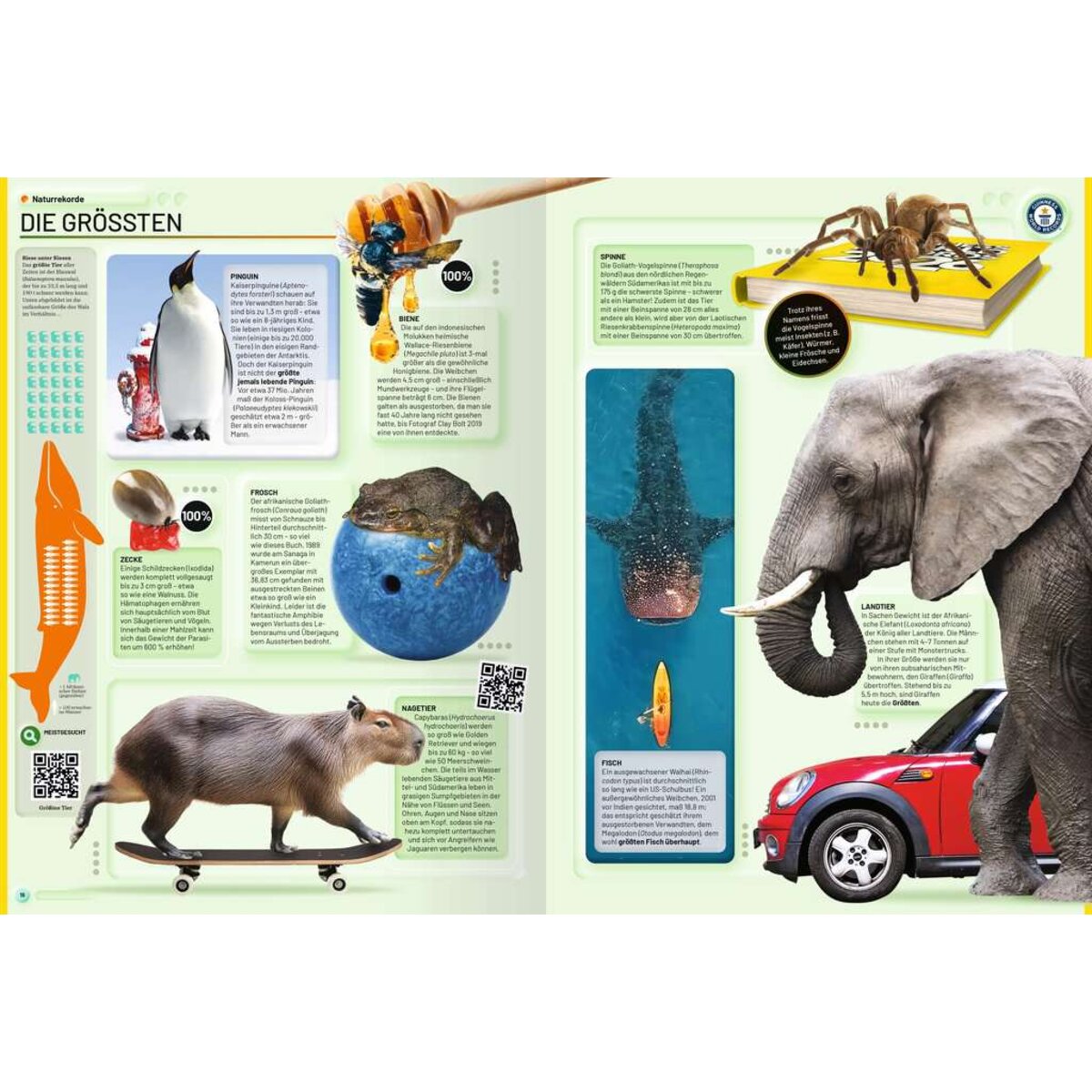 ravensburger-48096-guinness-world-records-25932B5F3.jpg