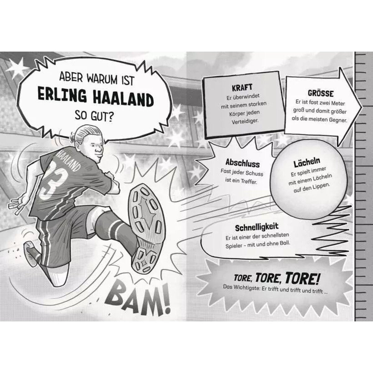 Ravensburger Fußball-Stars - Alles über Haaland