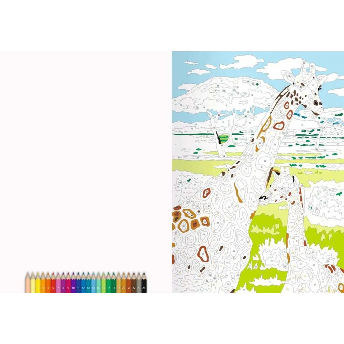 ravensburger-malen-nach-zahlen-wilde-EC3EF8413.jpg