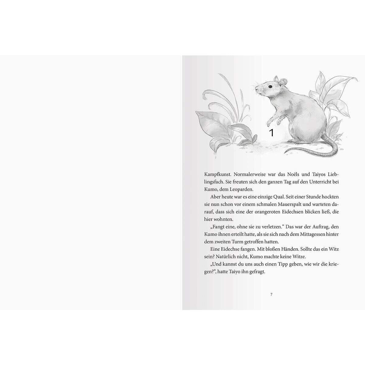 ravensburger-mayer-internat-der-boesen-EA7CE8626.jpg