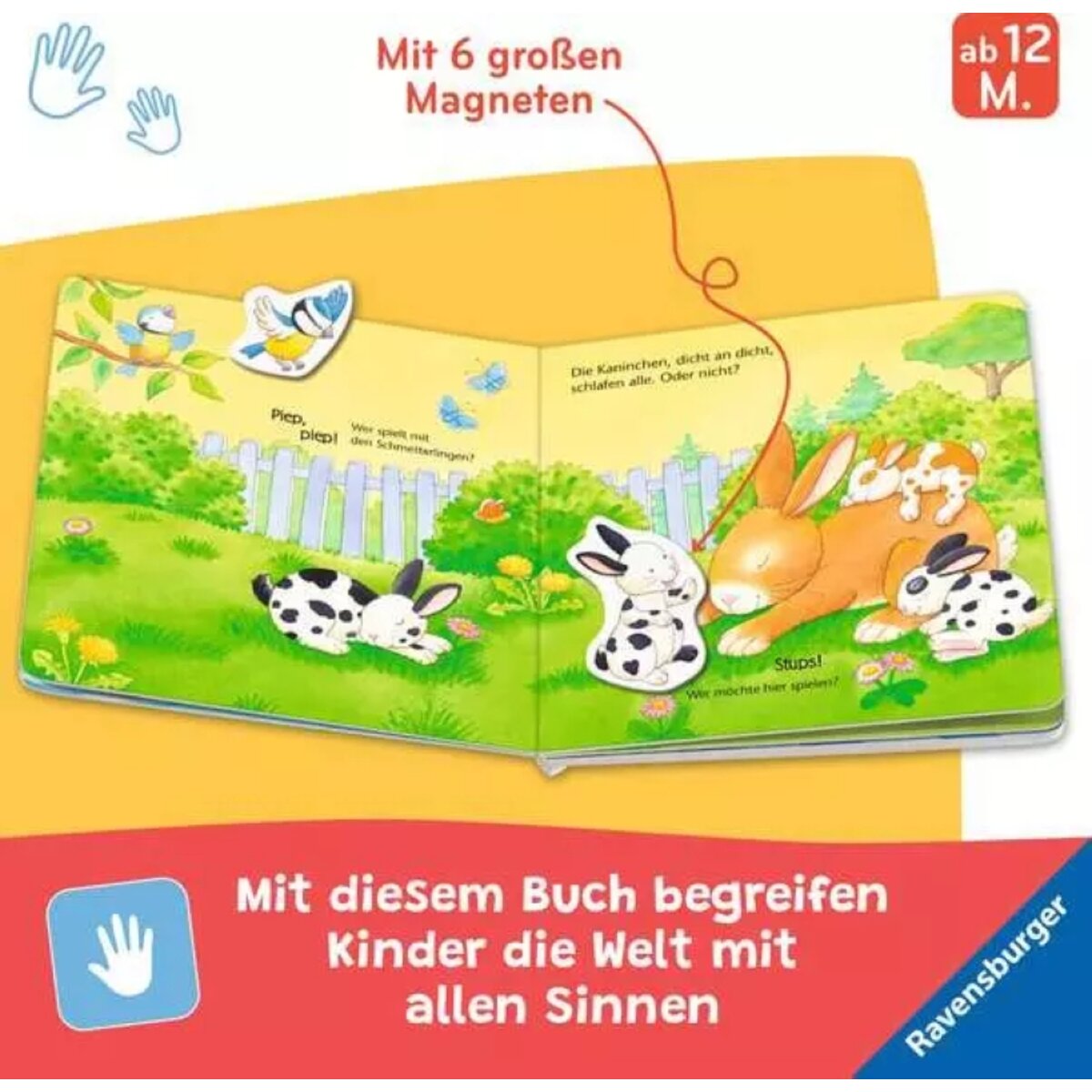 ravensburger-mein-erstes-magnetbuch--31411E584.jpg