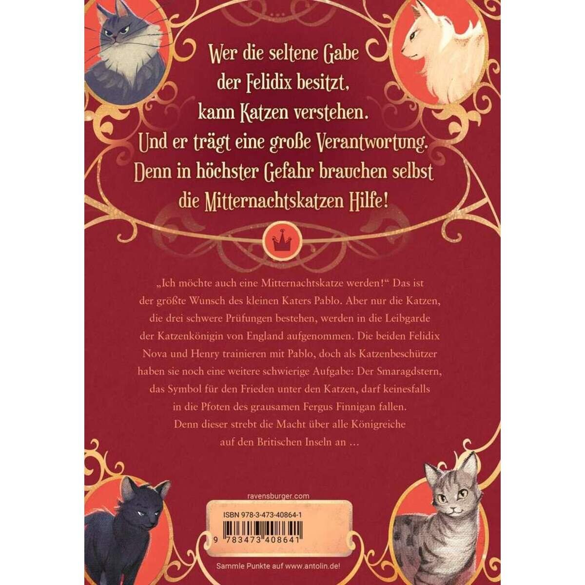 ravensburger-mitternachtskatzen-band-2-die-CE2259C62.jpg