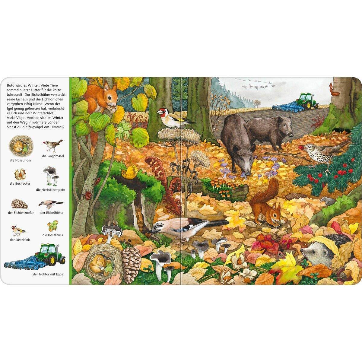 Ravensburger Pappbilderbuch - Mein großes Sachen suchen: Bei uns im Wald