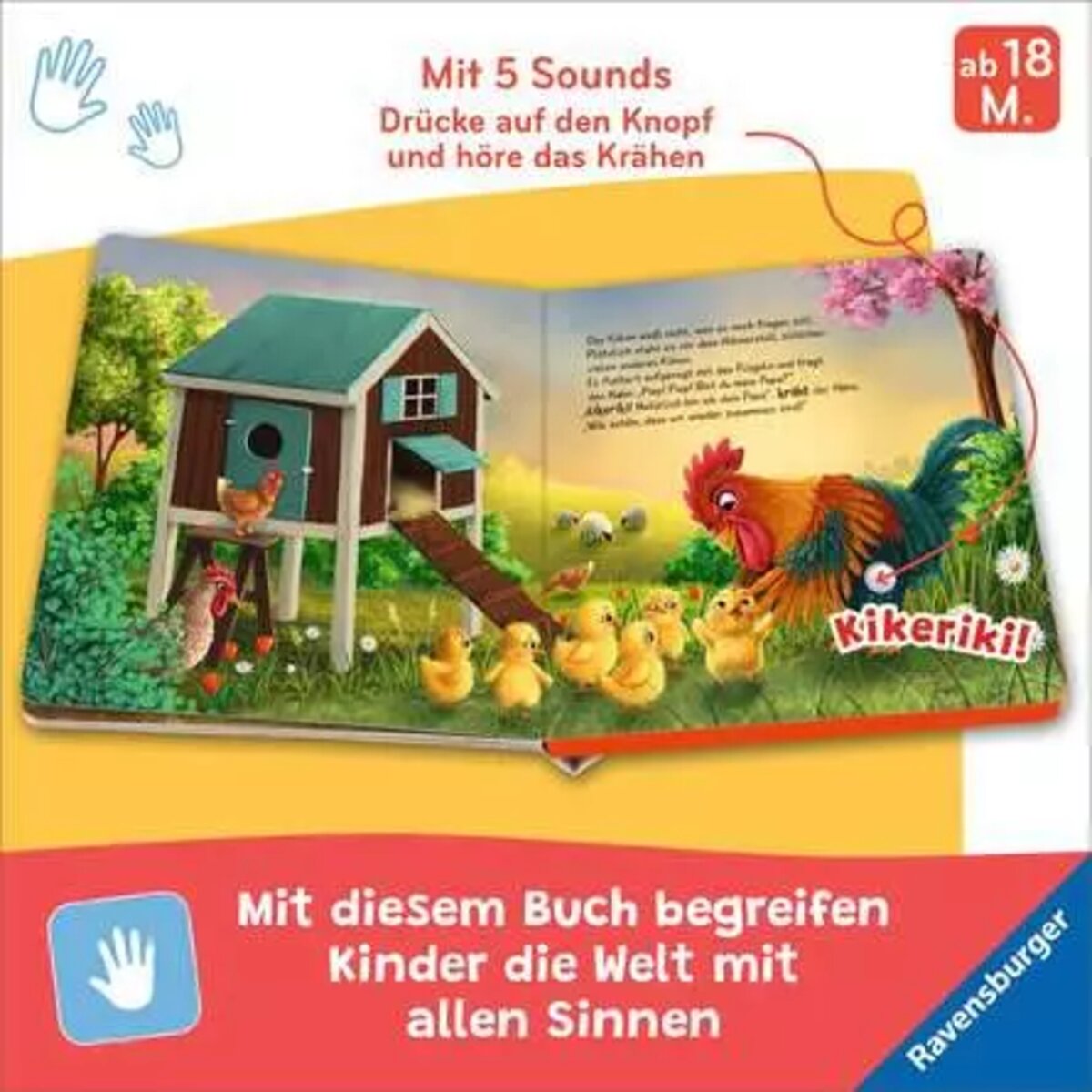 ravensburger-piep-piep-bist-du-A10A5C964.jpg