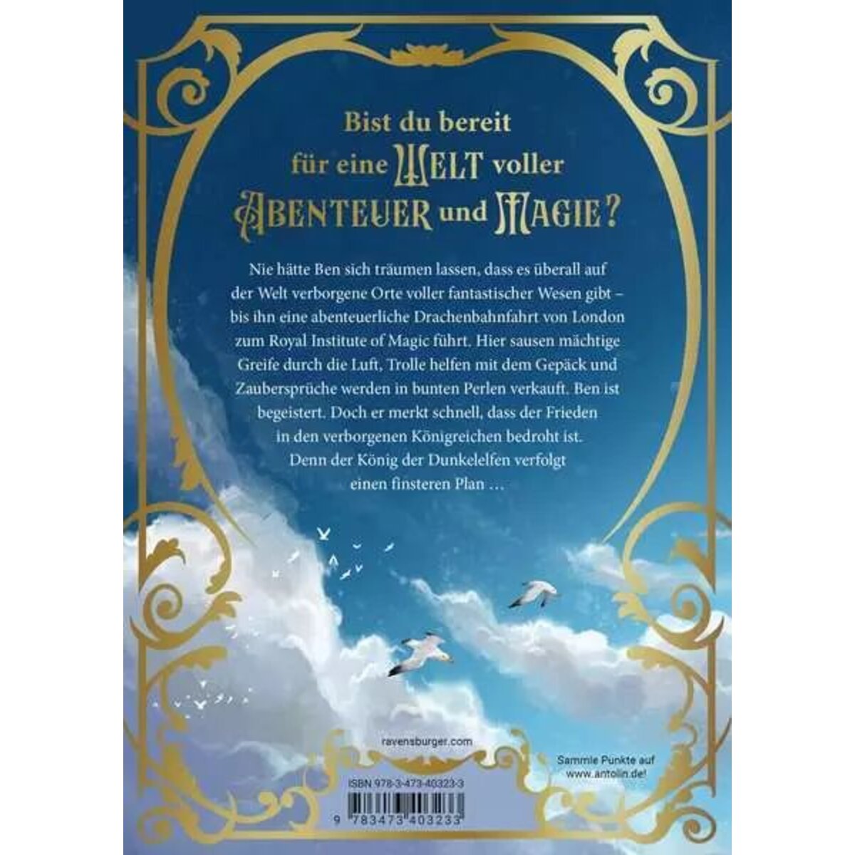 Ravensburger Royal Insitute of Magic, Band 1: Elizabeths Legacy