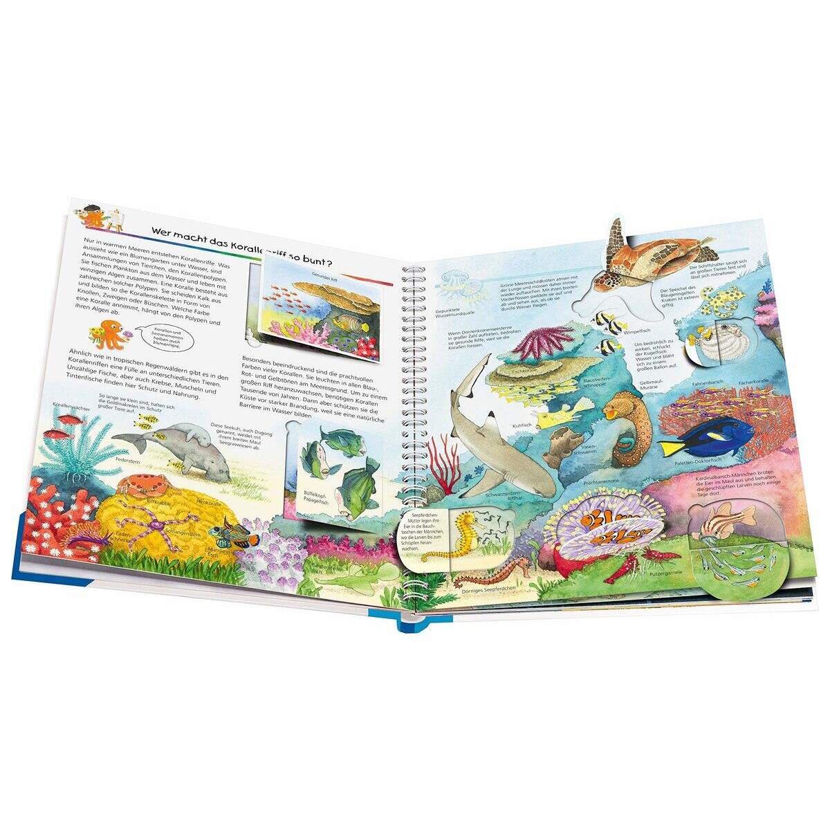 ravensburger-wieso-weshalb-warum-band-1604BCEB3.jpg