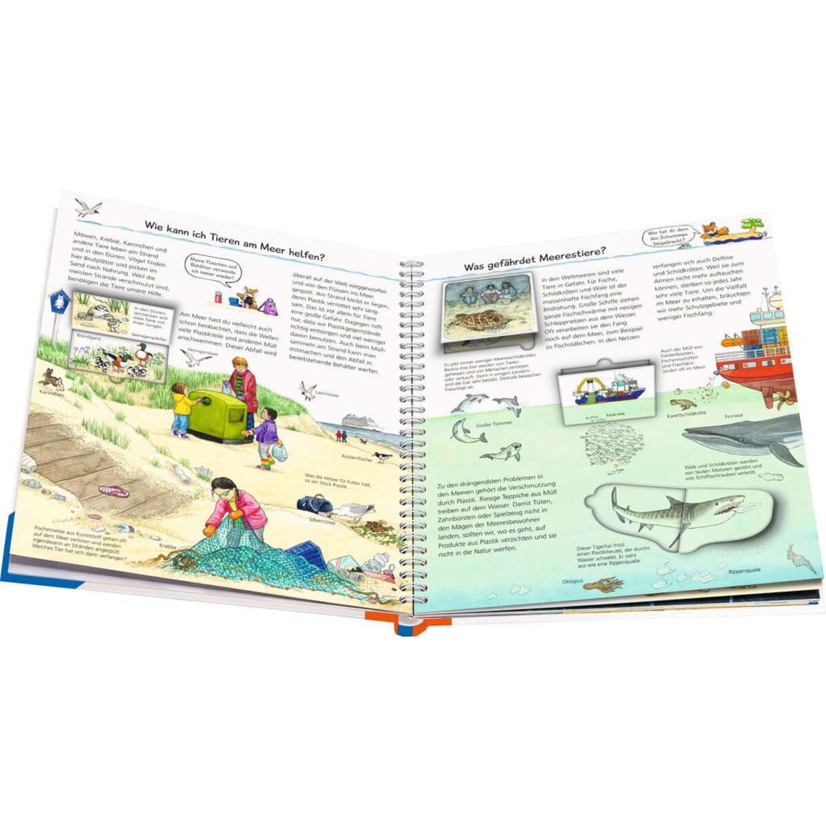 ravensburger-wieso-weshalb-warum-band-9F73165A3.jpg
