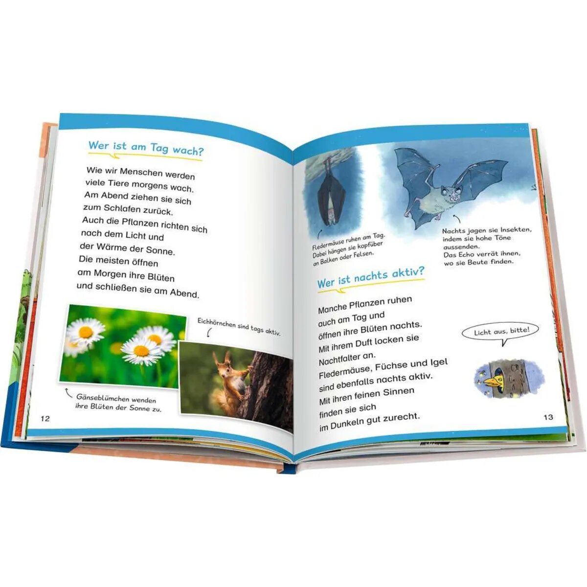 Ravensburger Wieso? Weshalb? Warum? Erstleser, Band 10: In der Natur