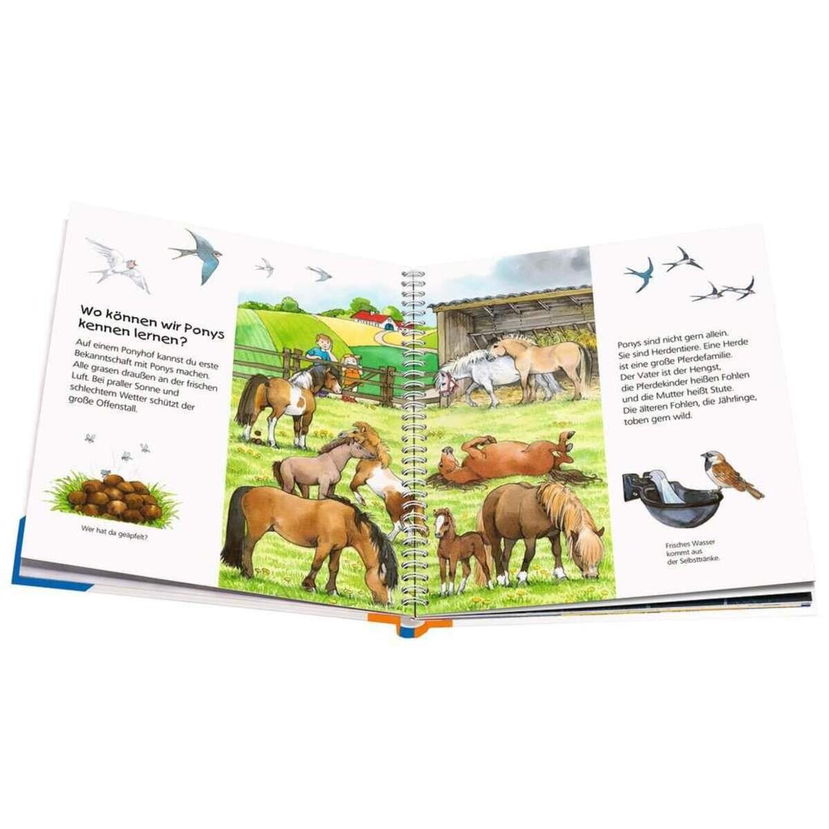 ravensburger-wieso-weshalb-warum-junior-21C7E7B83.jpg