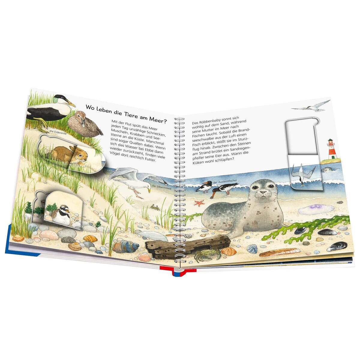 ravensburger-wieso-weshalb-warum-junior-283B933D2.jpg
