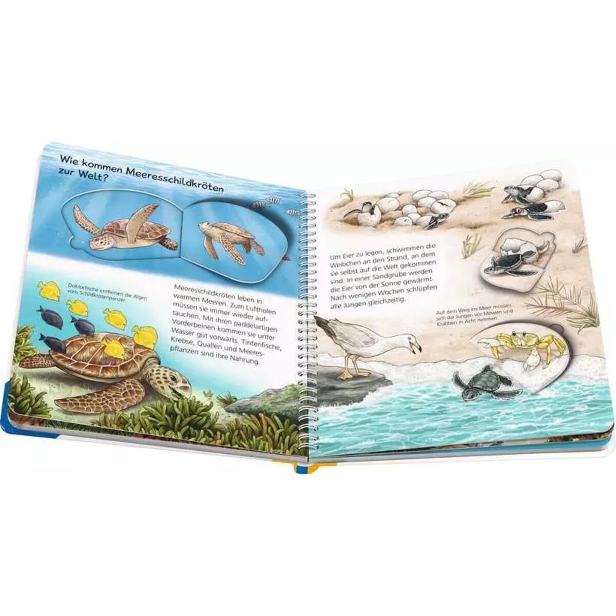 ravensburger-wieso-weshalb-warum-junior-5DAD2CC24.jpg