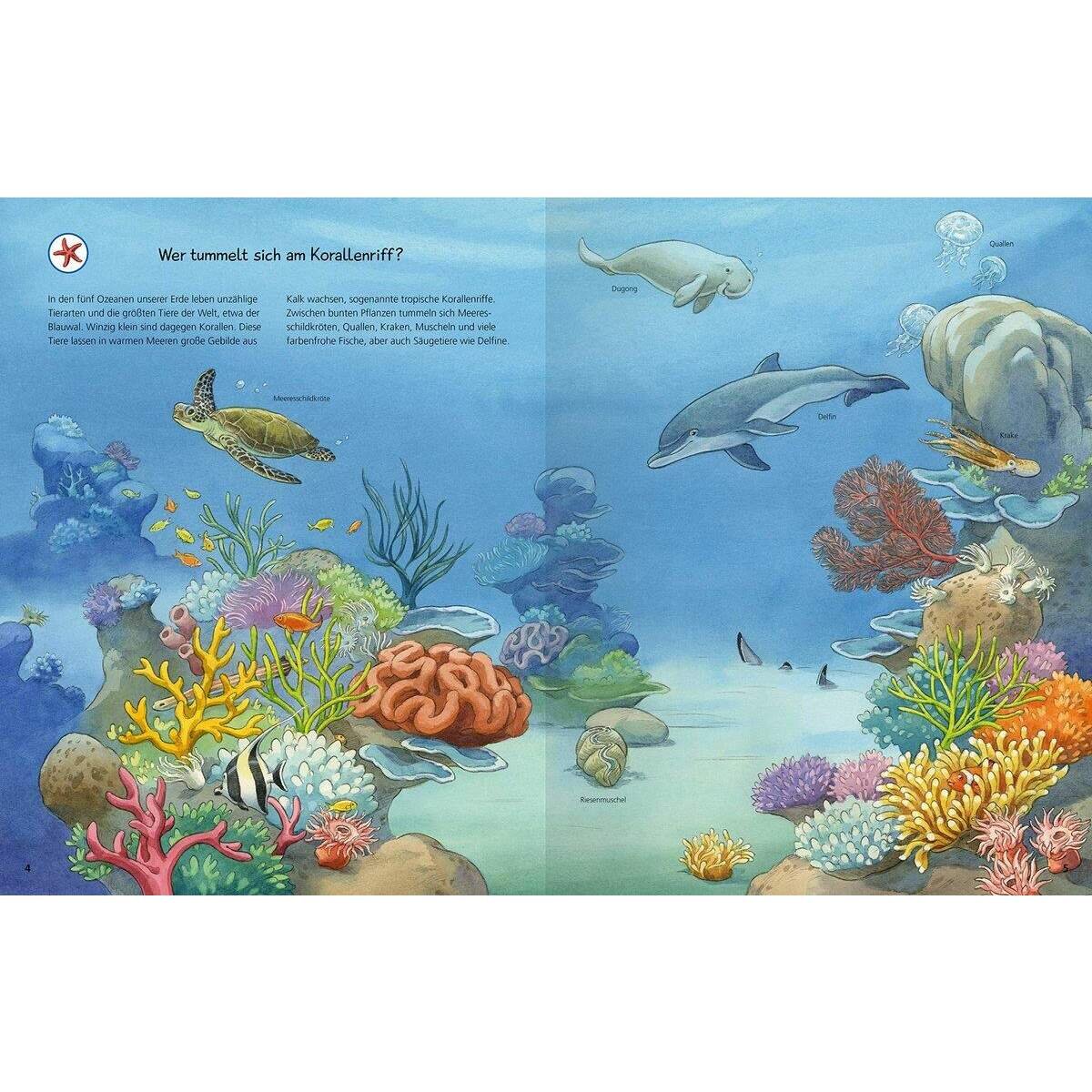 Ravensburger Wieso? Weshalb? Warum? Tiere der Welt