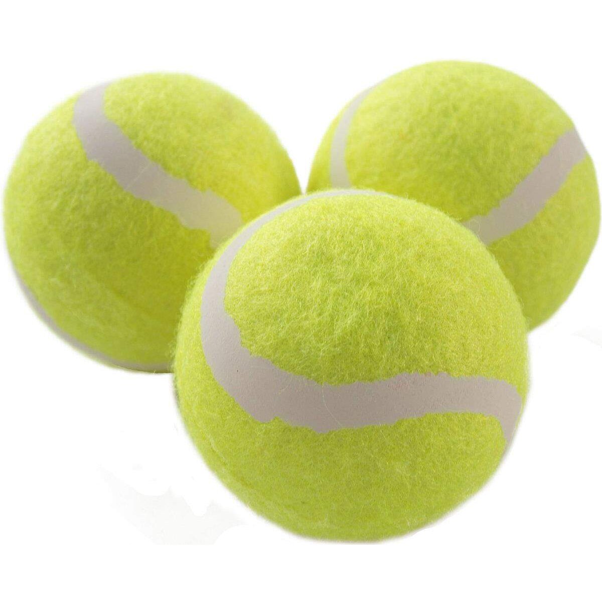 schildkroet-magic-sports-tennisball-3er-E3BDC9EF1.jpg