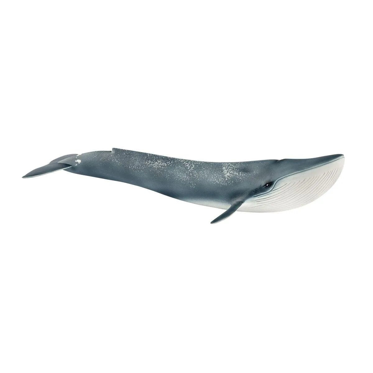 schleich-14806-blauwal-DCA03F7B1.jpg
