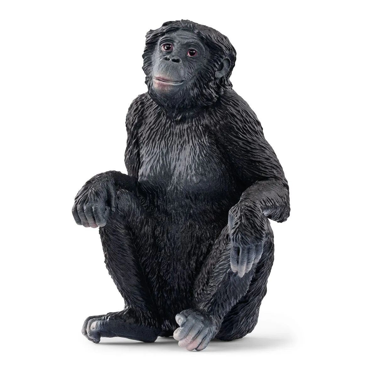 schleich-14875-wild-life--E03B3B7E1.jpg