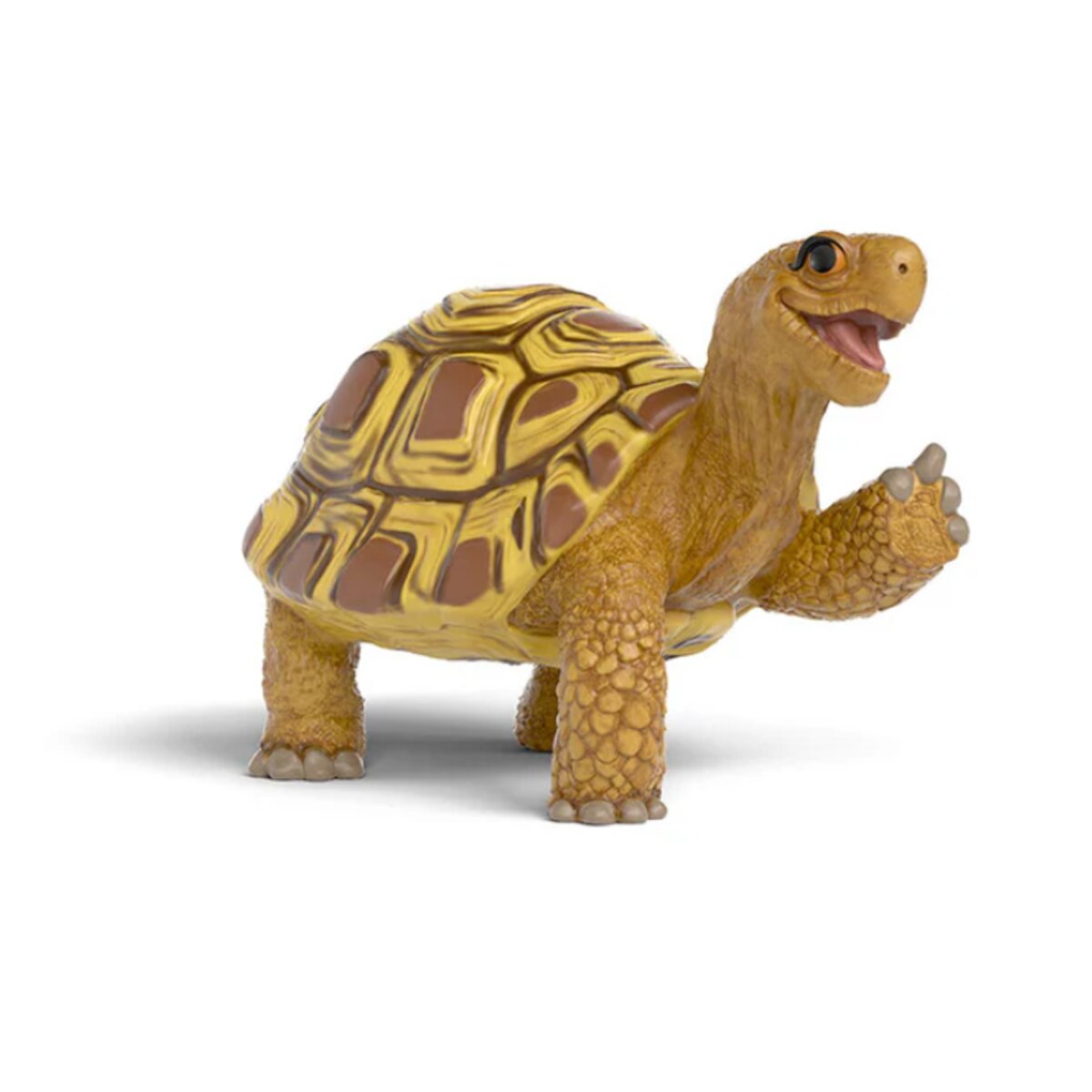 schleich-14910-schule-der-magischen-FF746D1B1.jpg