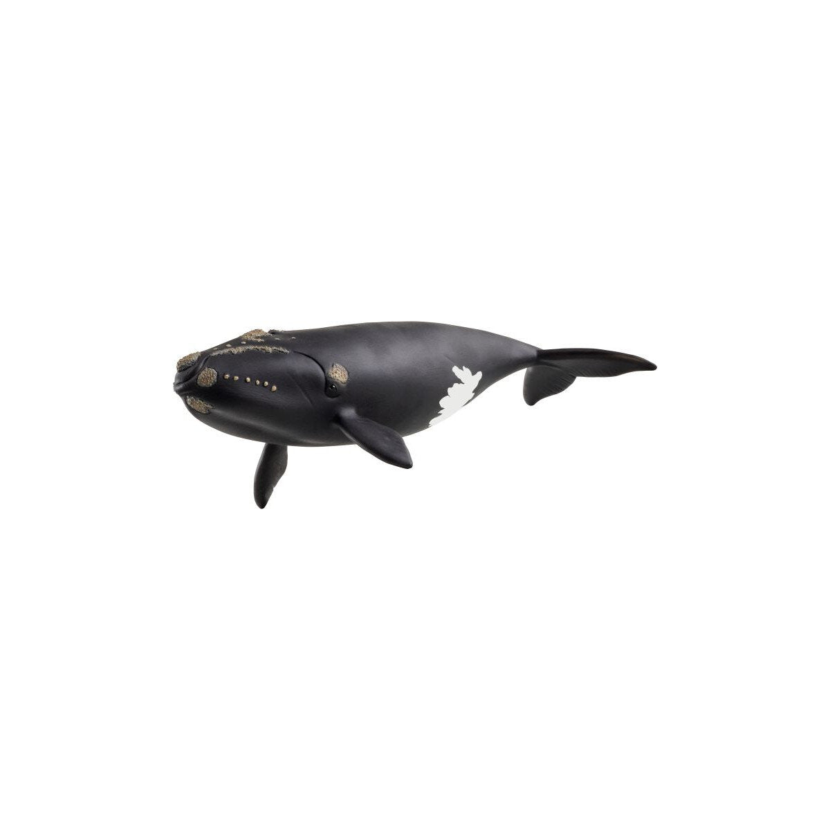schleich-wild-life-14878-nordatlantischer-BDBD7B5A1.jpg