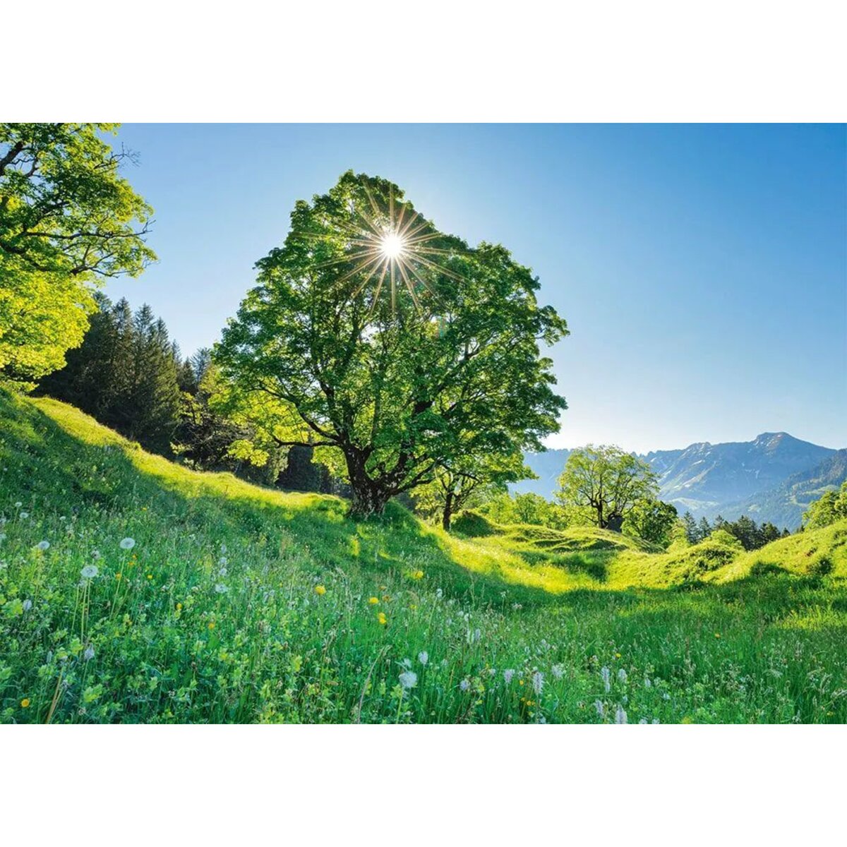 schmidt-spiele-puzzle---F6770A282.jpg