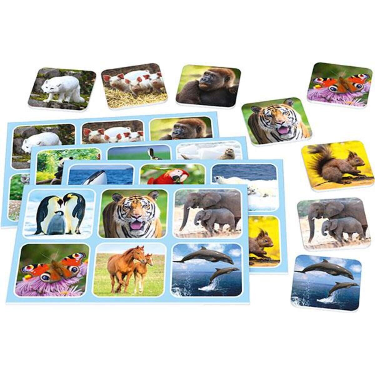 Schmidt Spiele Zoo Lotto