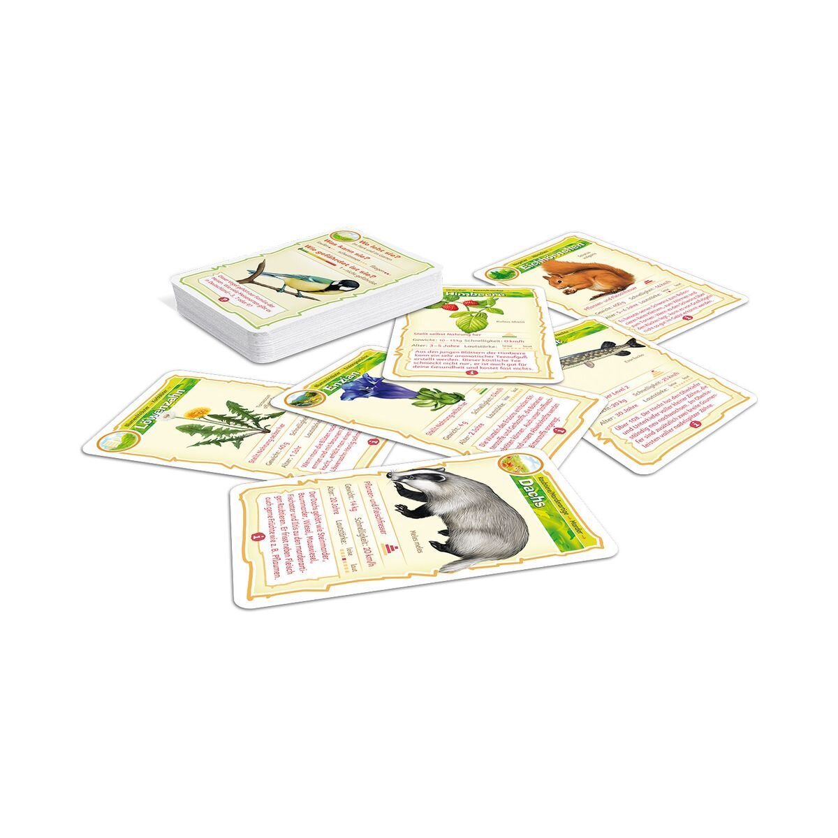 Shuffle Abenteuer Schule - Natur-Bingo