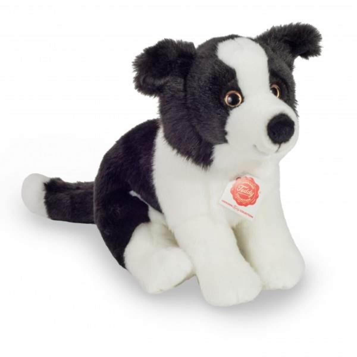 teddy-hermann-border-collie-welpe-E214B1791.jpg
