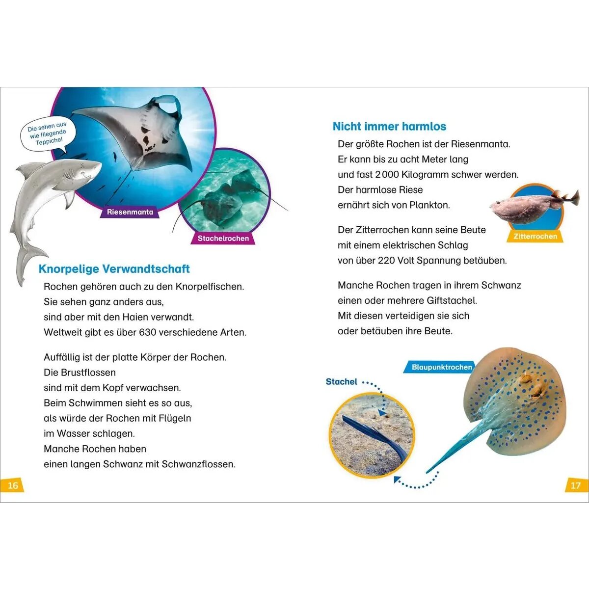 tesloff-was-ist-was-erstes-AB83F61F3.jpg