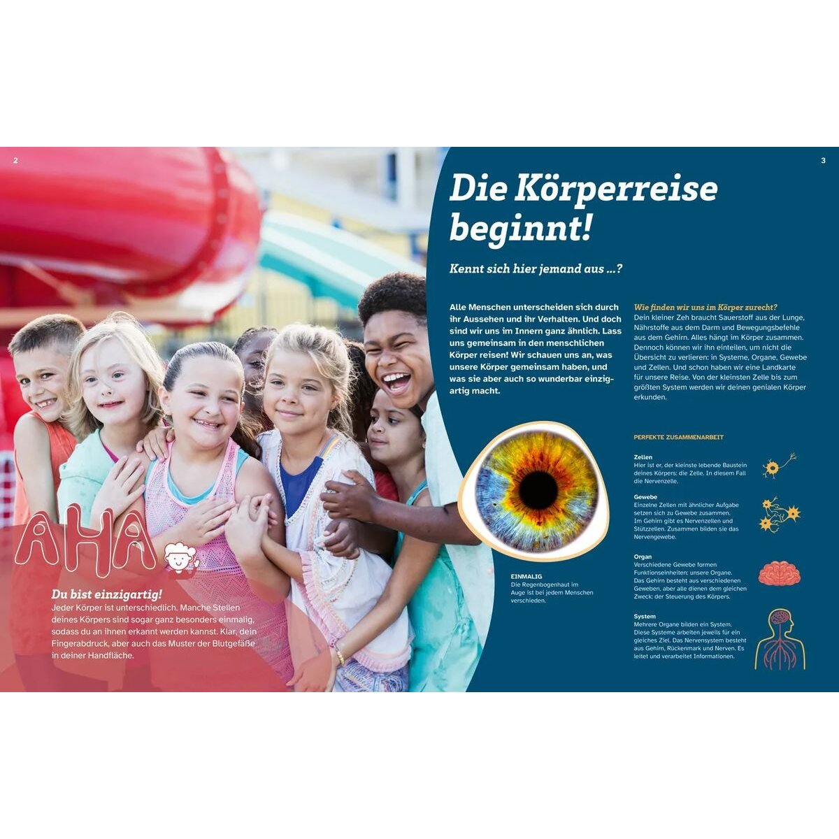 Tessloff WAS IST WAS Dein Körper. Was alles in dir steckt